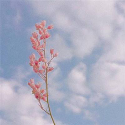 天龙之剑手机游戏(暂未上线)v1.0 安卓版