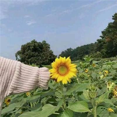 风云诀游戏下载